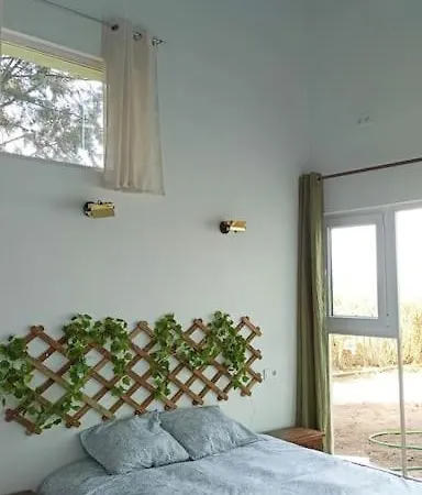 El Pinsapo