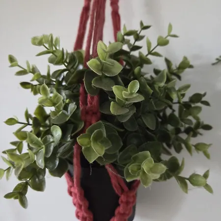 El Pinsapo