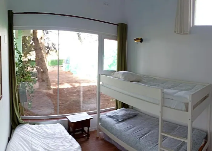 El Pinsapo Holiday home *