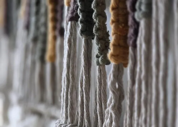 El Pinsapo Holiday home